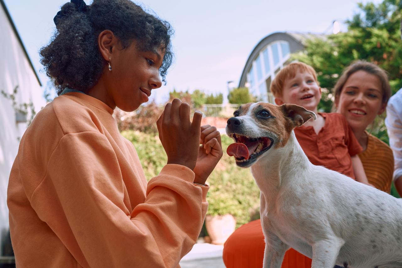 Na imagem colorida, criança brinca com cachorro, ao fundo estão uma mulher e uma criança