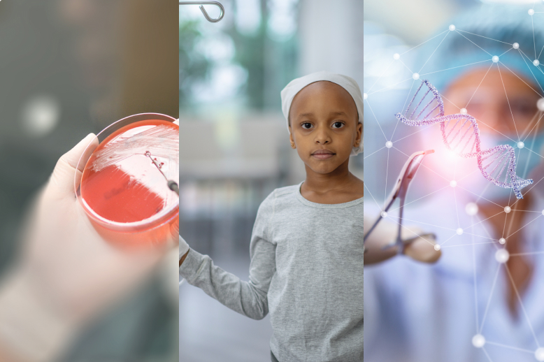 VIKTIGA FOKUSOMRÅDEN VIKTIGA FOKUSOMRÅDEN