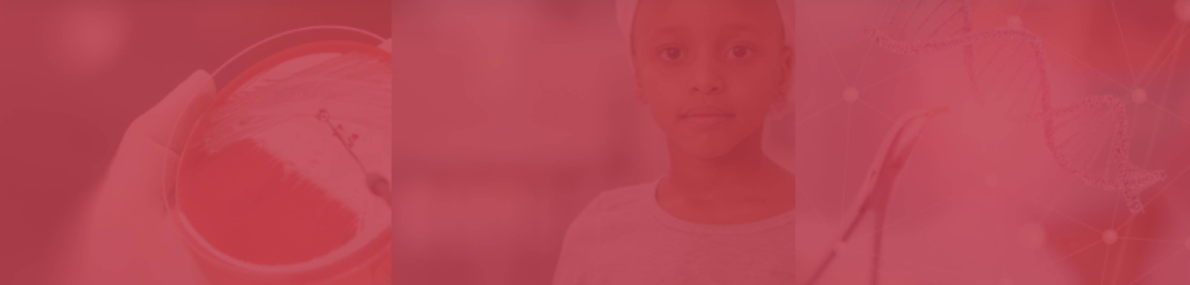 GettyImages-viktiga banner GettyImages-viktiga banner