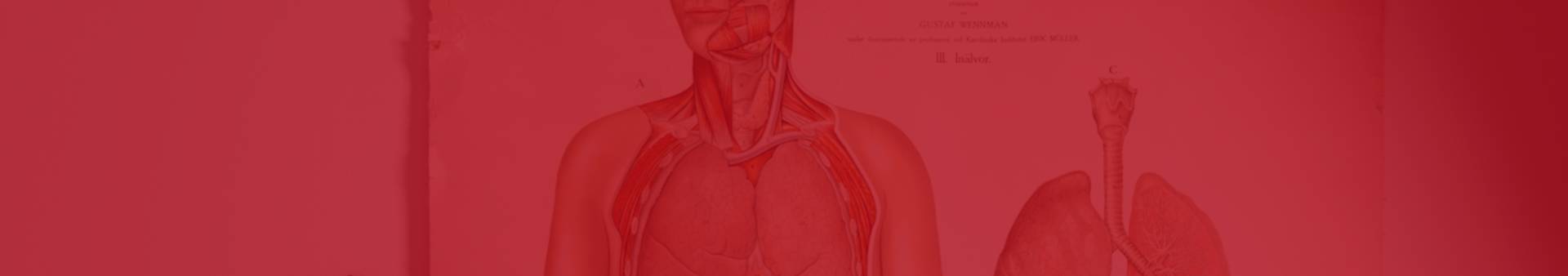 harvi-banner harvi-banner