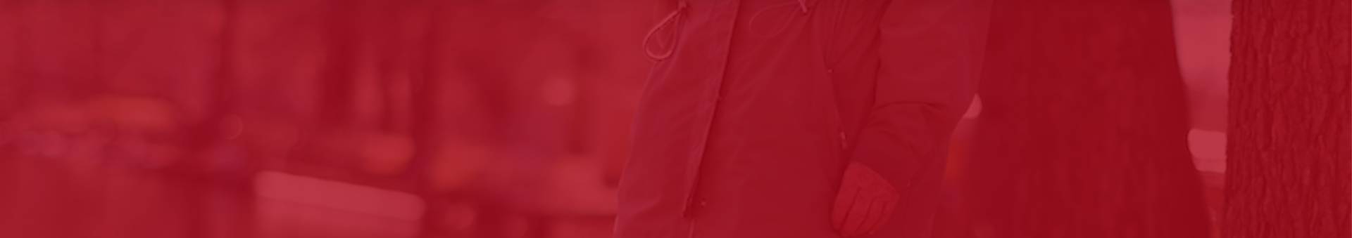 harvi-banner harvi-banner