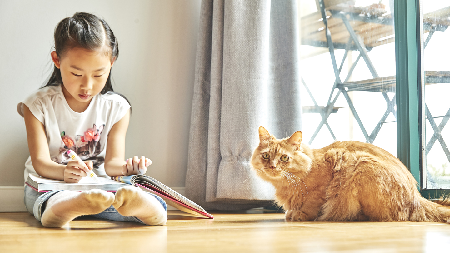 Chinese girl sitting on the floor reading next to a ginger cat