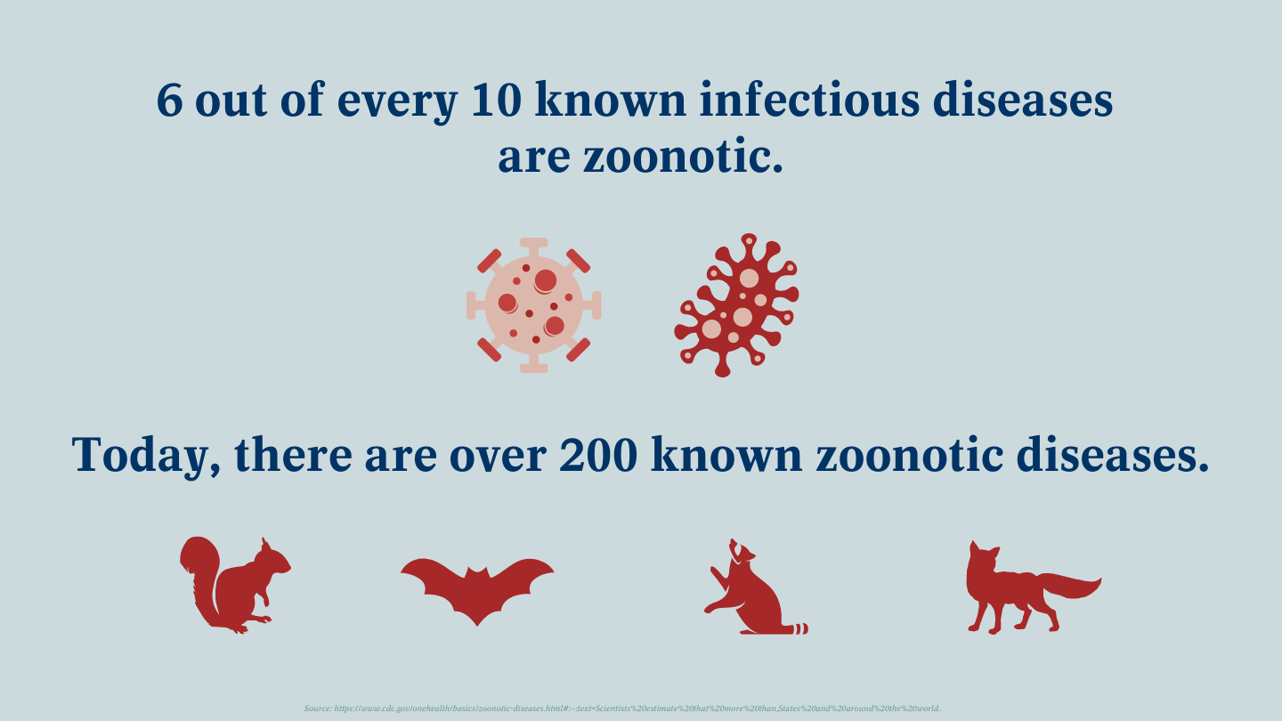 Zoonotic diseases things you should know Boehringer Ingelheim