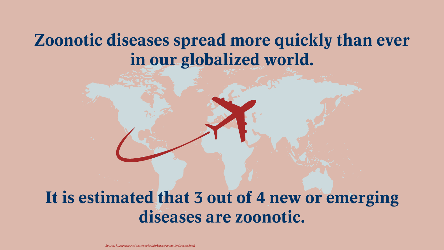 Zoonotic diseases things you should know Boehringer Ingelheim