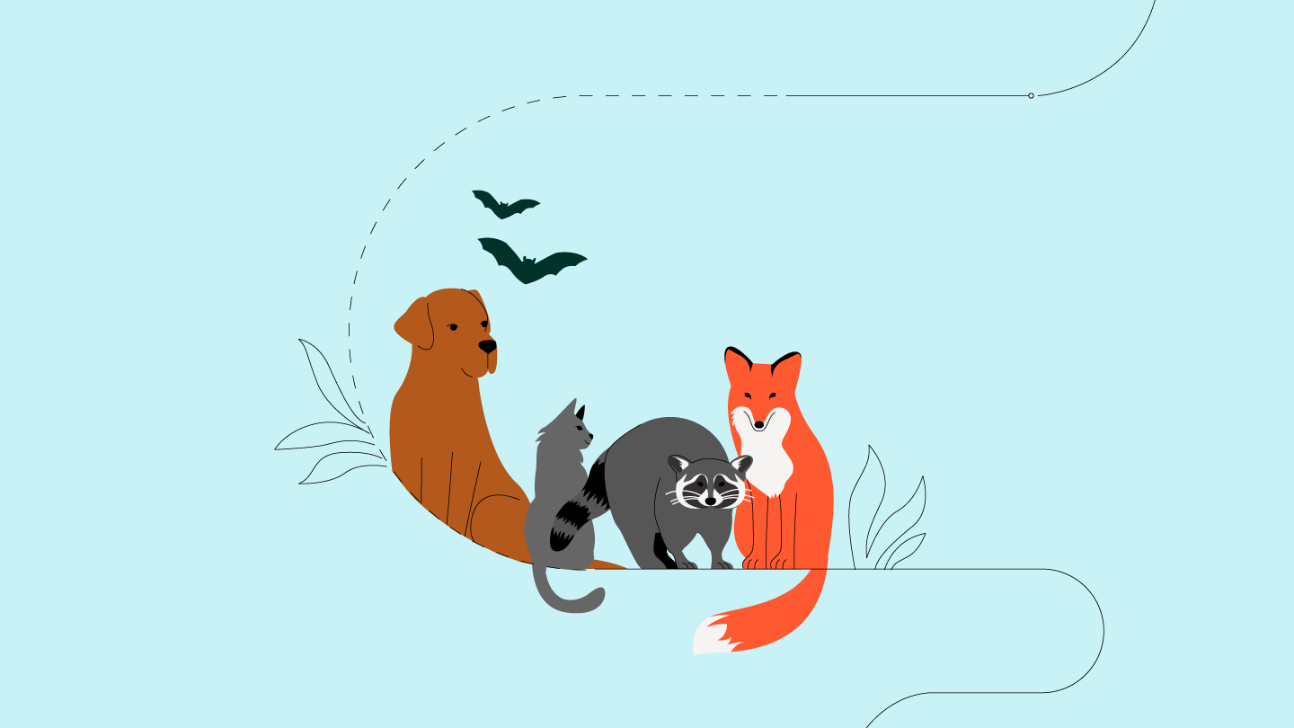 Our Stop Rabies initiative in Ecuador | Boehringer Ingelheim