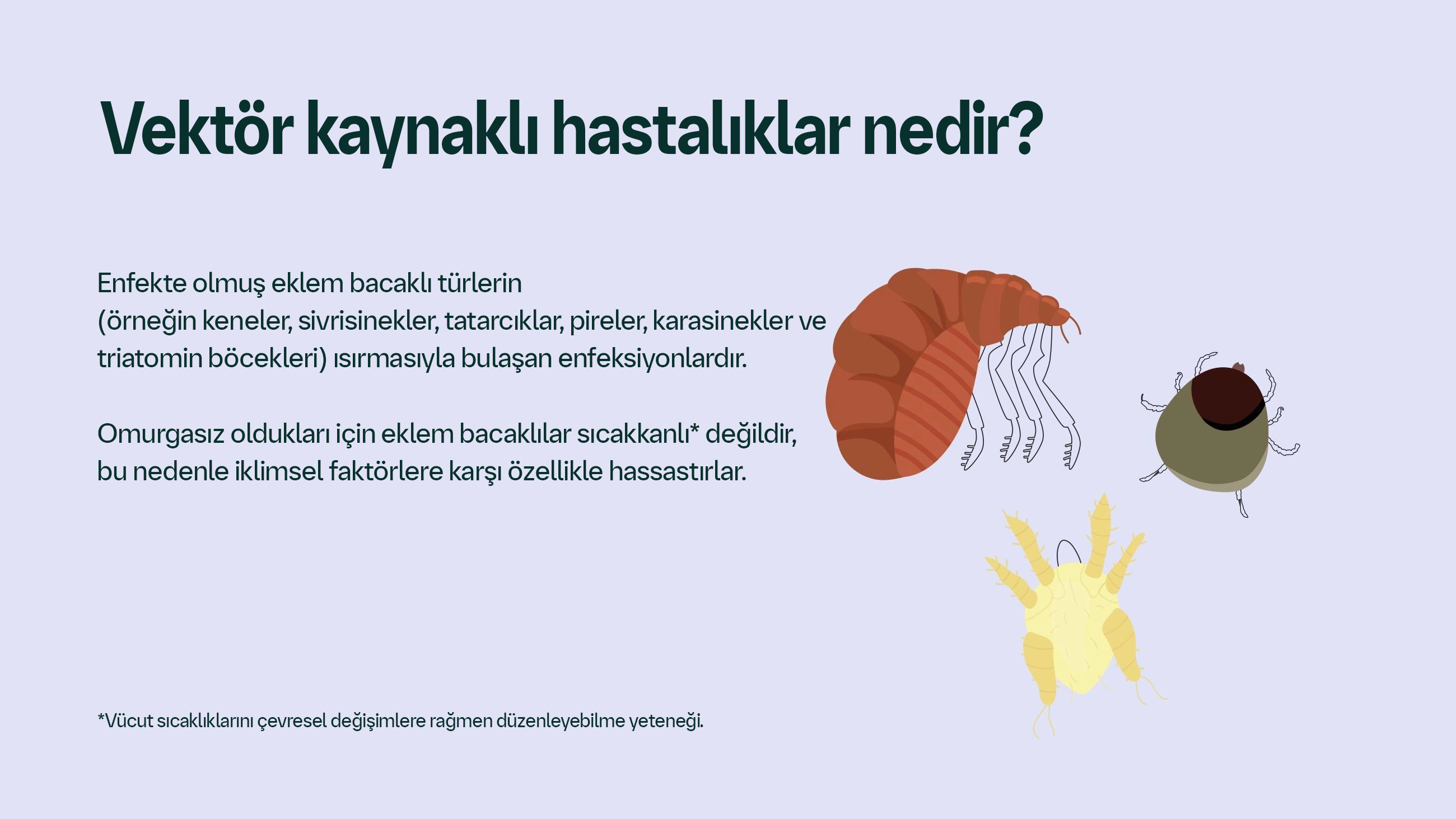 Evcil Hayvan Parazitlerinin Coğrafyası Değişiyor | Boehringer Ingelheim TR