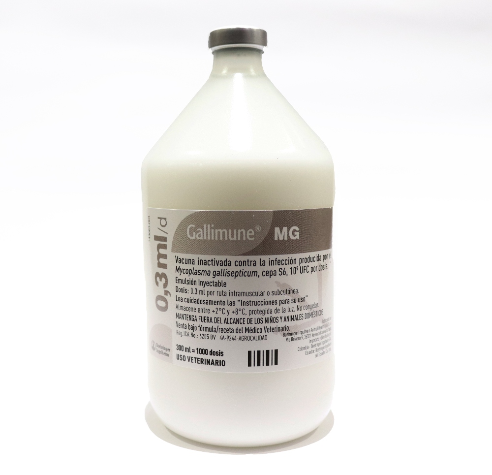 Gallimune® MG | Boehringer Ingelheim