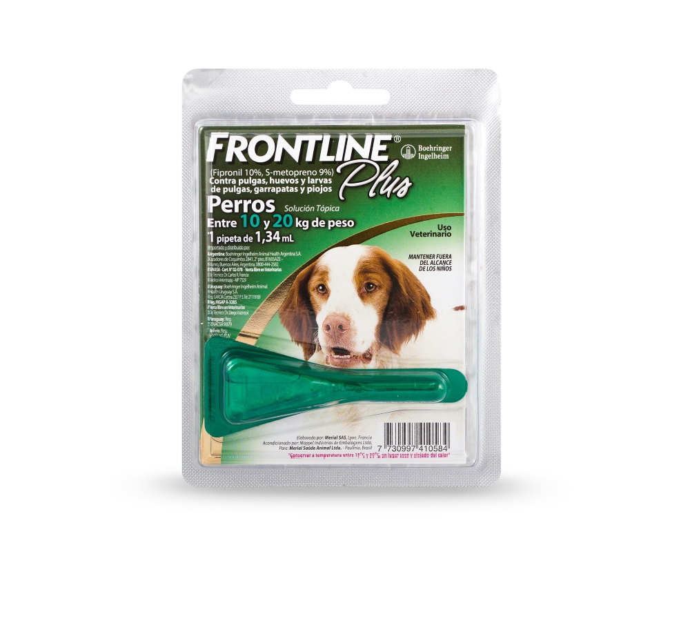 🌼 ¡La primavera llegó, y con ella los cuidados que tu mascota necesita! 🌞  El aumento de temperatura también trae riesgos para su salud: pulgas,  garrapatas, golpes de calor y otros enemigos, image size:1000x932