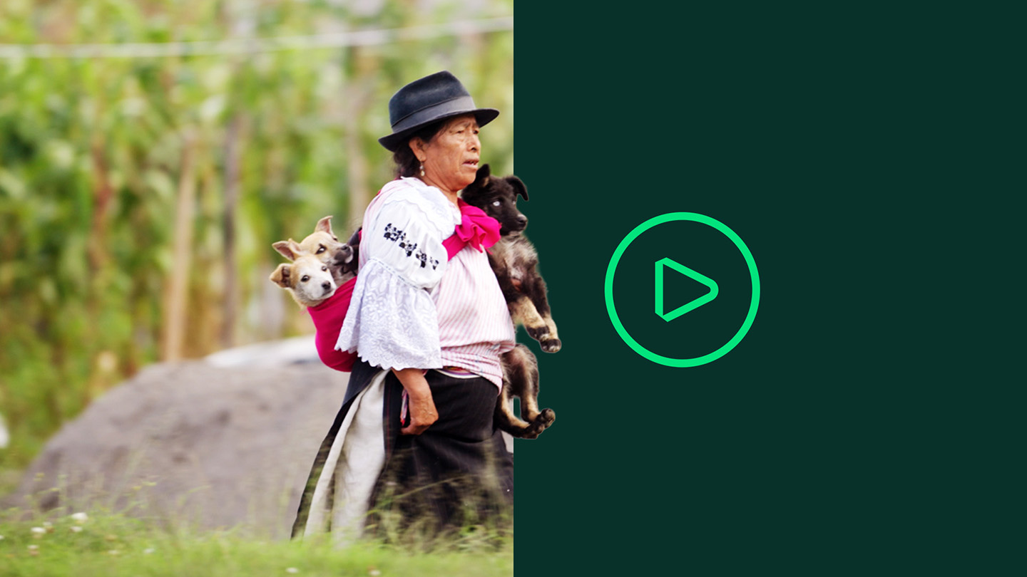 Rabies prevention through education and vaccination | Boehringer Ingelheim