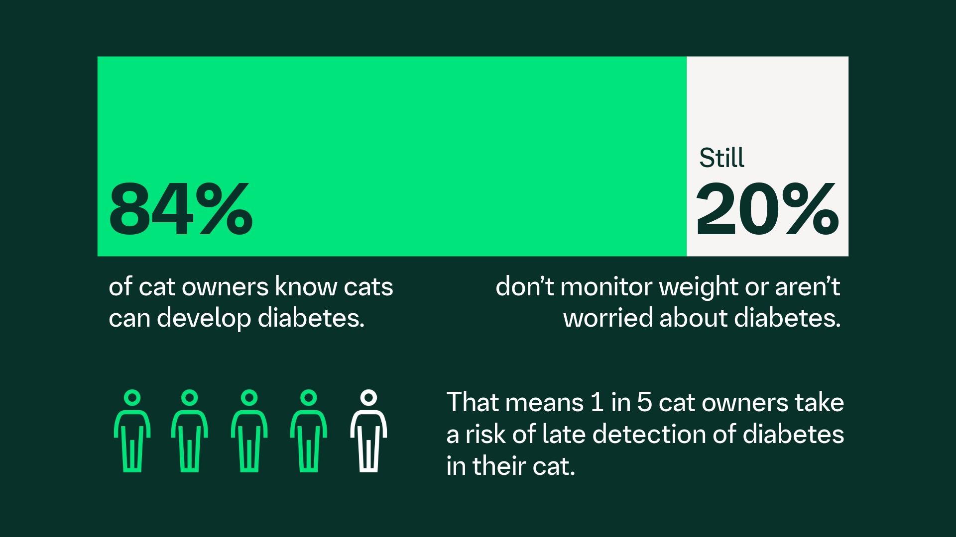 Understanding feline diabetes: from awareness to action | Boehringer ...