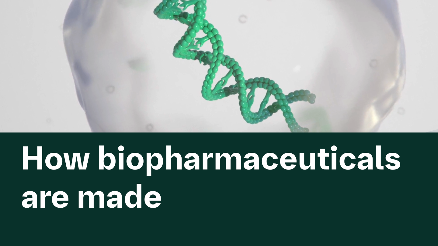 Upstream & Downstream Processing | BioXcellence | Boehringer Ingelheim