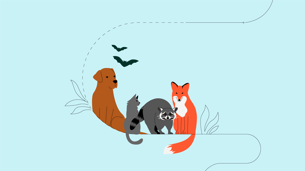 Prevention in Animal Health | Boehringer Ingelheim