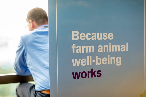 12th Expert Forum on Farm Animal Well-Being | Boehringer Ingelheim