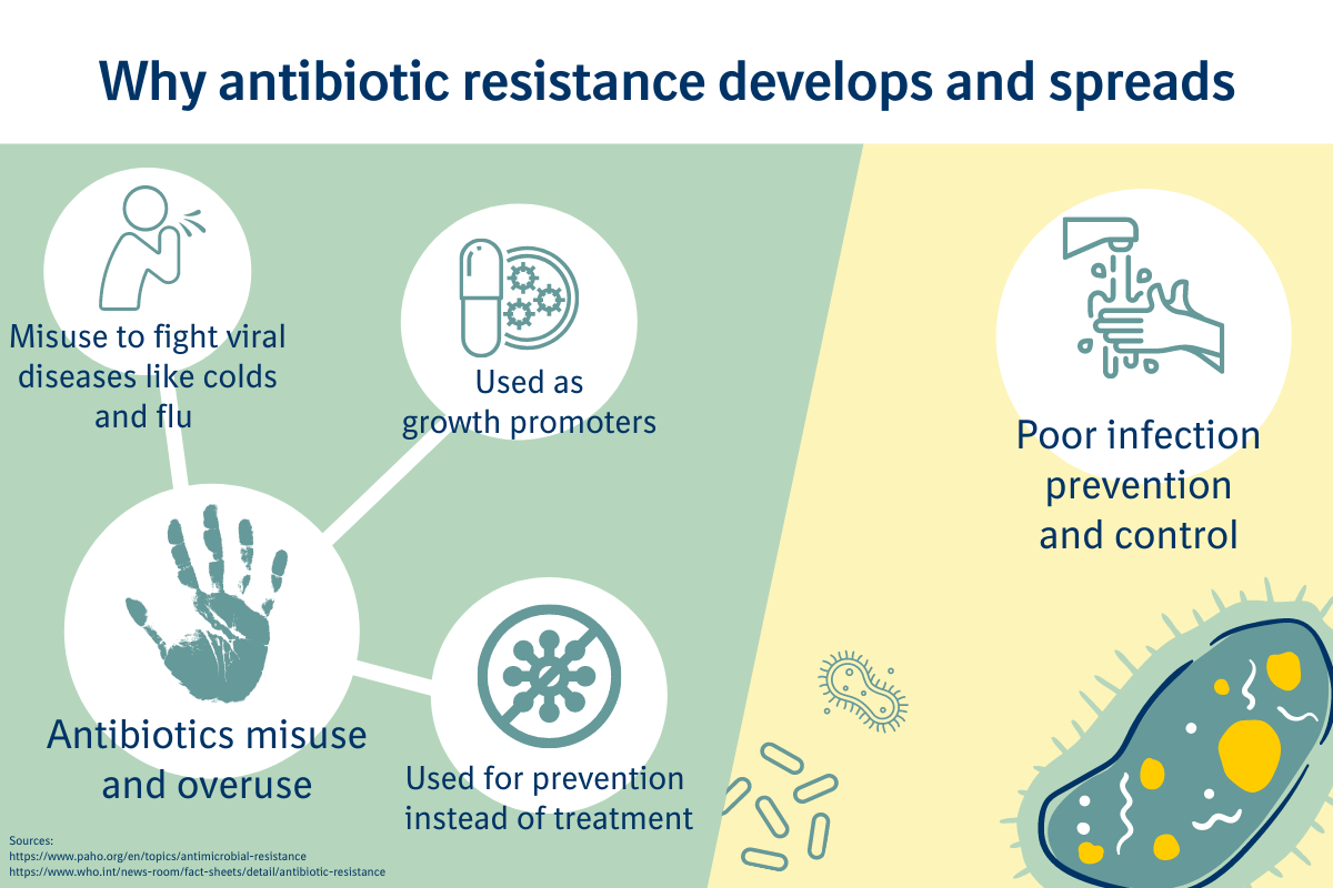 antibiotic resistance one health veterinary medicine | Boehringer Ingelheim