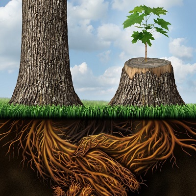 Grass Roots Partnering - Supporting Grass Roots Innovation Video