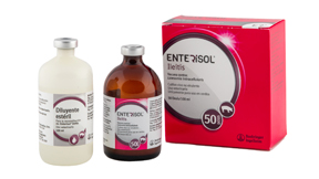 Enterisol® Ileítis - Productos de Salud Animal