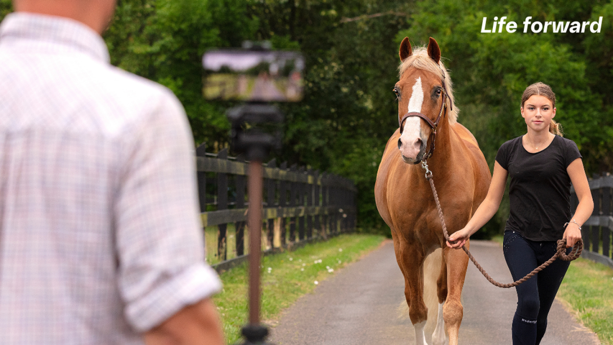 Lameness Horses Collaboration Sleip App Artificial Intelligence lameness-horses-collaboration-sleip-app-artificial-intelligence