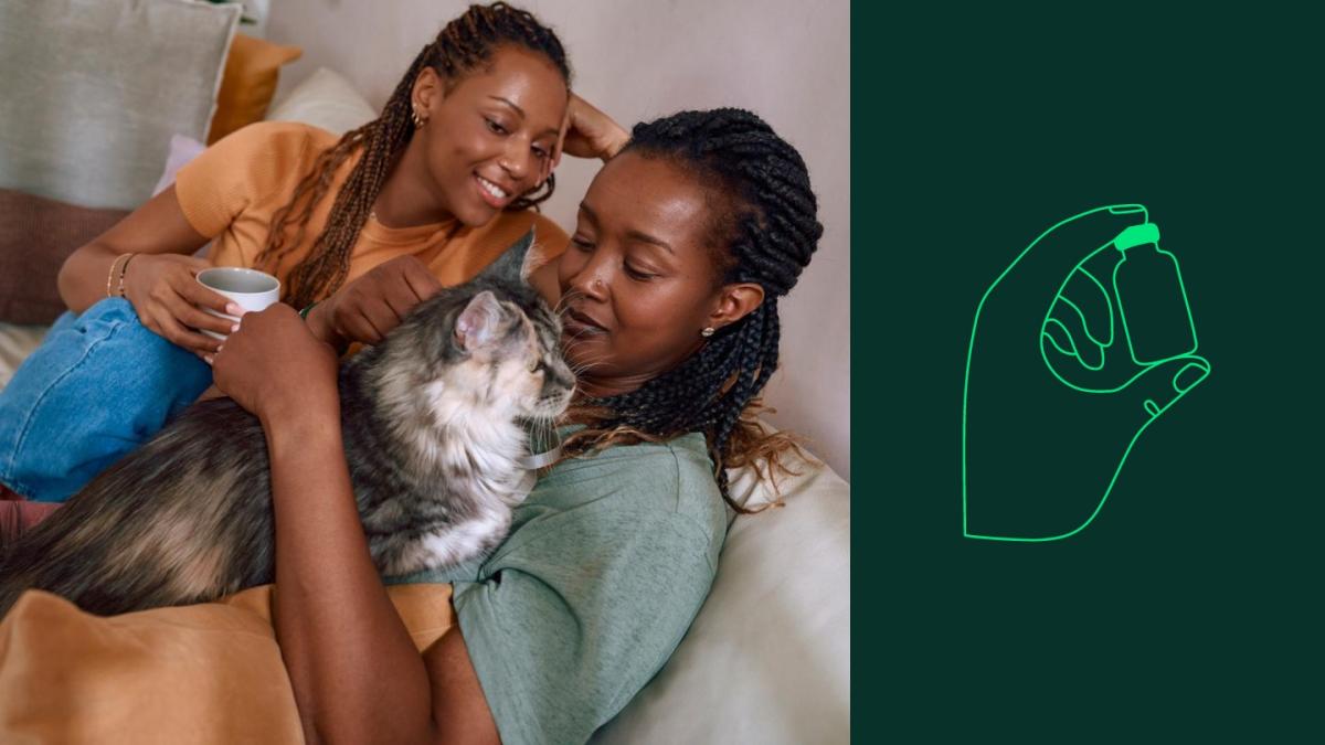 Impfung bei Katzen  zehn Dinge, die Sie wissen sollten | Boehringer  Ingelheim AT