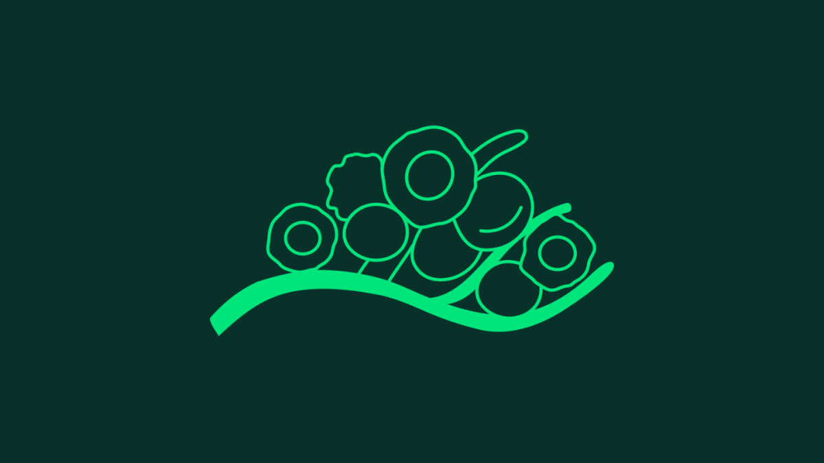 Cancer research | Boehringer Ingelheim