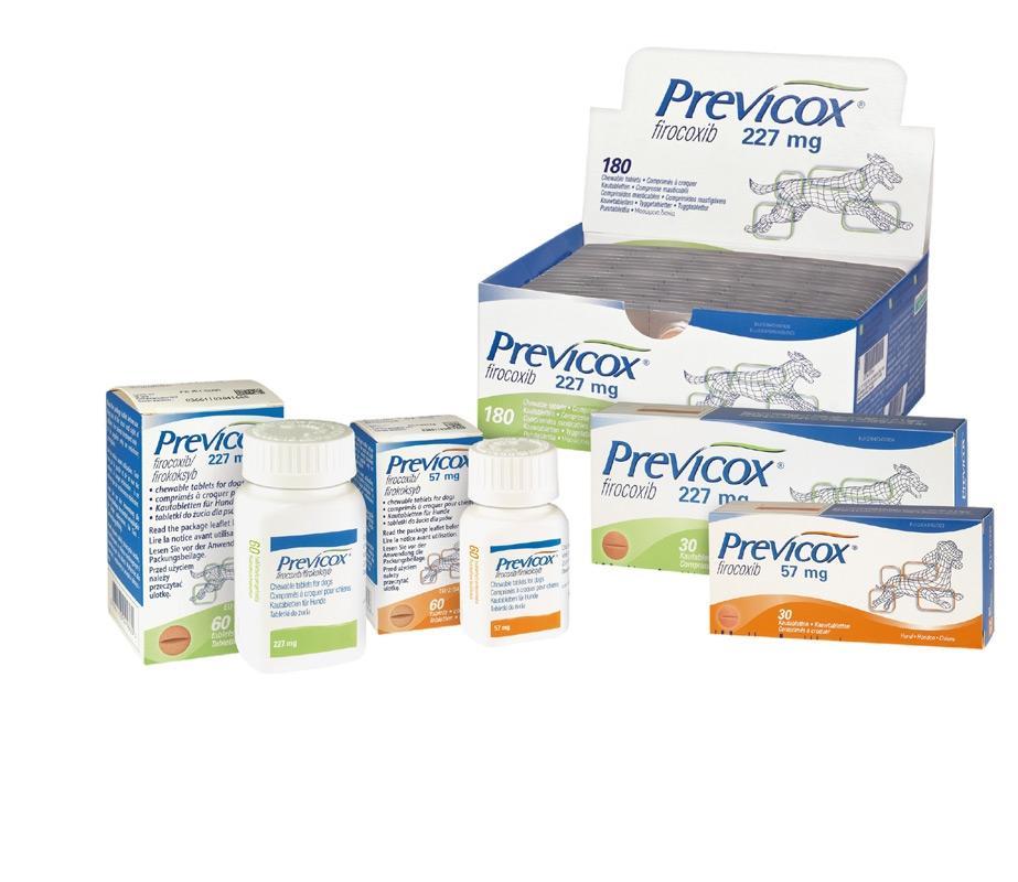 Prevex Powder Previcox | Boehringer Ingelheim MEA