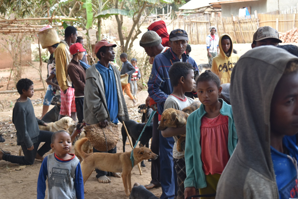 Fighting Rabies Fighting Rabies in Madagascar | Boehringer Ingelheim US | Boehringer ...