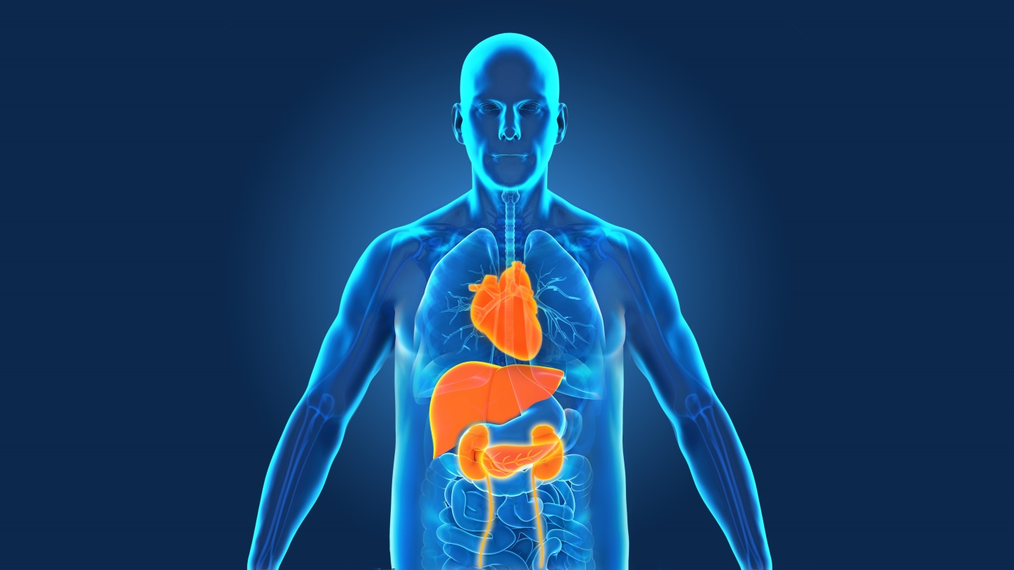 Obesity | Boehringer Ingelheim US